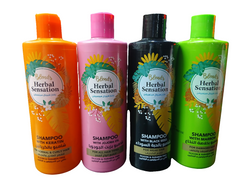 BLENDS HERBAL SENSATION SHAMPOO ASSORTED 600ML